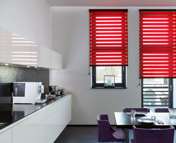 Рулонные шторы зебра